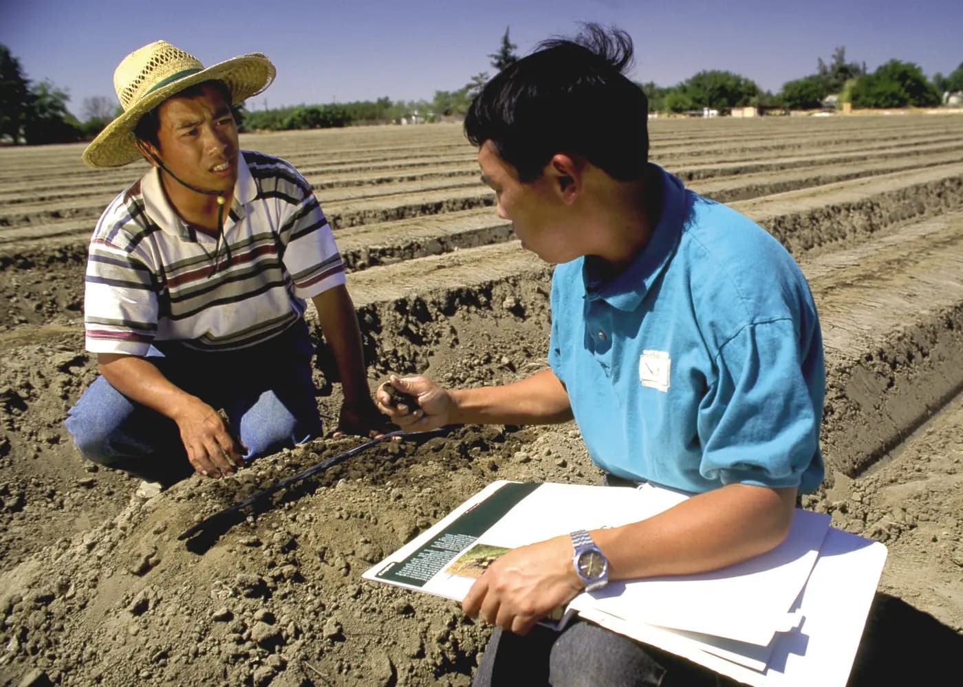 How to Install a Drip Irrigation System for a Vegetable Block: From Water Source to First Flush